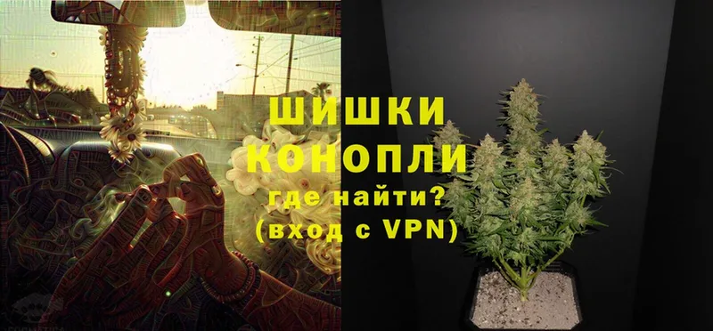 Шишки марихуана THC 21%  Котлас 